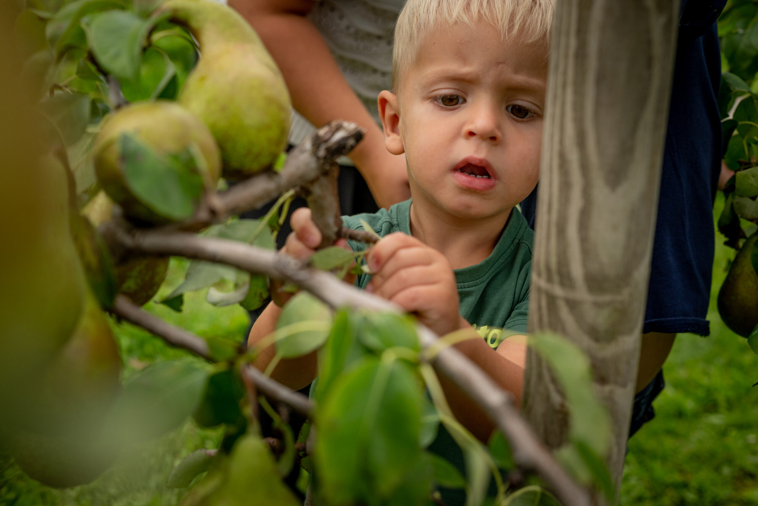 PatriciaPetrickfotografie-schoolfotografie-DeBerkSKH-DSC_58600120260911