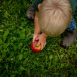 PatriciaPetrickfotografie-schoolfotografie-DeBerkSKH-DSC_59160120260911